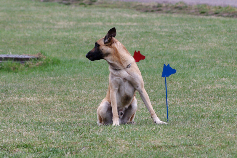 8.5.2010 099c.jpg